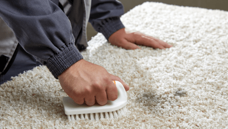 Professional Rug Cleaning Mont Albert